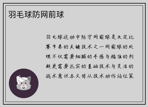 羽毛球防网前球