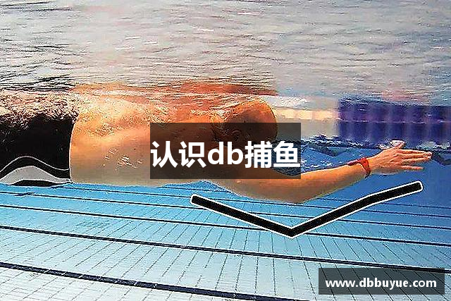 认识db捕鱼